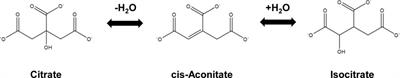 Studying Acetylation of Aconitase Isozymes by Genetic Code Expansion